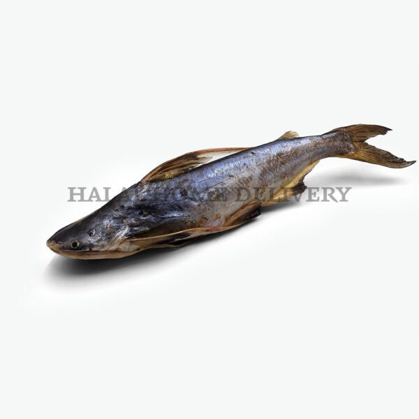 Experience halal excellence with our Big Halal Catfish