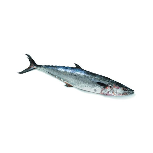 King Fish New, delivered straight to your doorstep in the Greater Toronto Area.