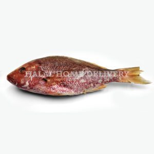 Savor halal excellence with our Halal Red Snapper Whole,