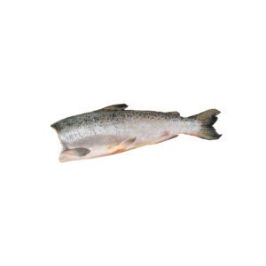 Halal Grey Snapper Headless, delivered to your doorstep in the Greater Toronto Area.